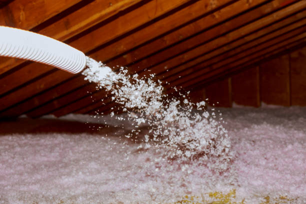 Types of Insulation We Offer in AZ